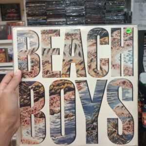 Beach boys - Beach boys