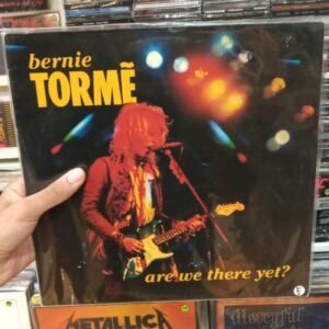 BERNIE TORME - ARE YOU THERE YET?