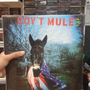 Gov't mule - Gov't mule