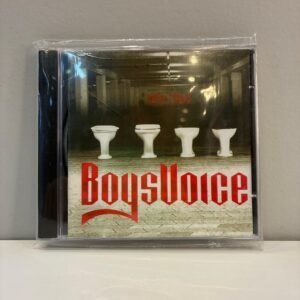 BOYS VOICE - DIRTY VOICE