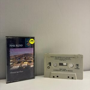 PINK FLOYD - MOMENTARY LAPSE OF REASON