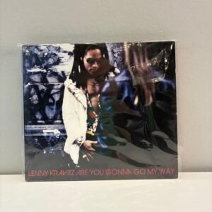 LENNY KRAVITZ - ARE YOU WILL GONNA GO MY WAY