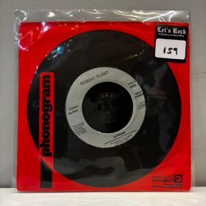 ROBERT PLANT - 29 PALMS