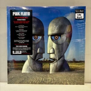 PINK FLOYD - THE DIVISION BELL