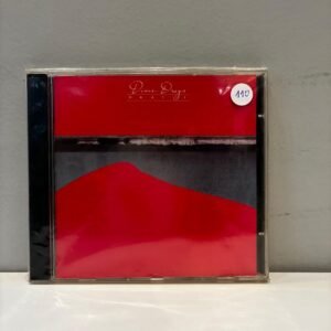 DIXIE DREGS - WHAT IF