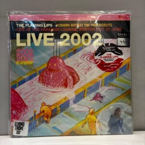 FLAMING LIPS - LIVE 2002