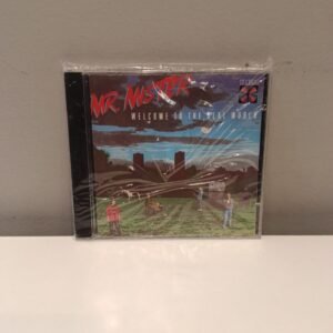 MR. MISTER - WELCOME TO THE REAL WORLD