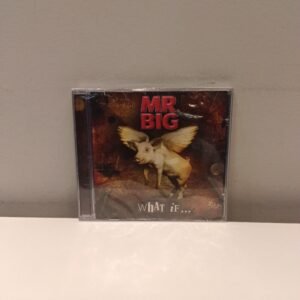 MR. BIG - WHAT IF...
