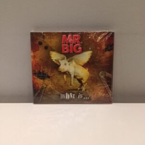 MR. BIG - WHAT IF...