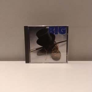 MR. BIG - ST