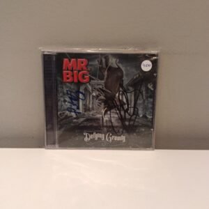 MR. BIG - DEFYING GRAVITY