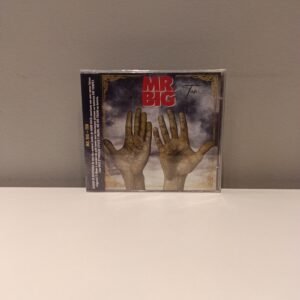 MR. BIG - TEN