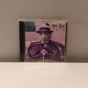 MR. BIG - HEY MAN