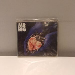 MR. BIG - JUST TAKE MY HEART