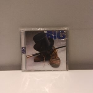 MR. BIG - ST
