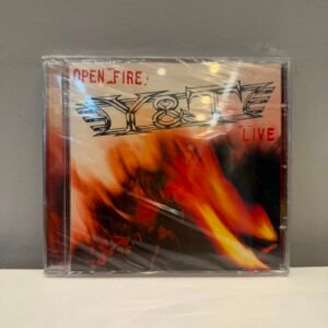 Y&T - LIVE