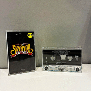 VARIOUS ARTISTS - SKYNYRD FRYNDS