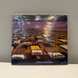 PINK FLOYD - A MOMENTARY LAPSE OF REASON