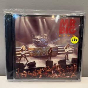 MR BIG - LIVE